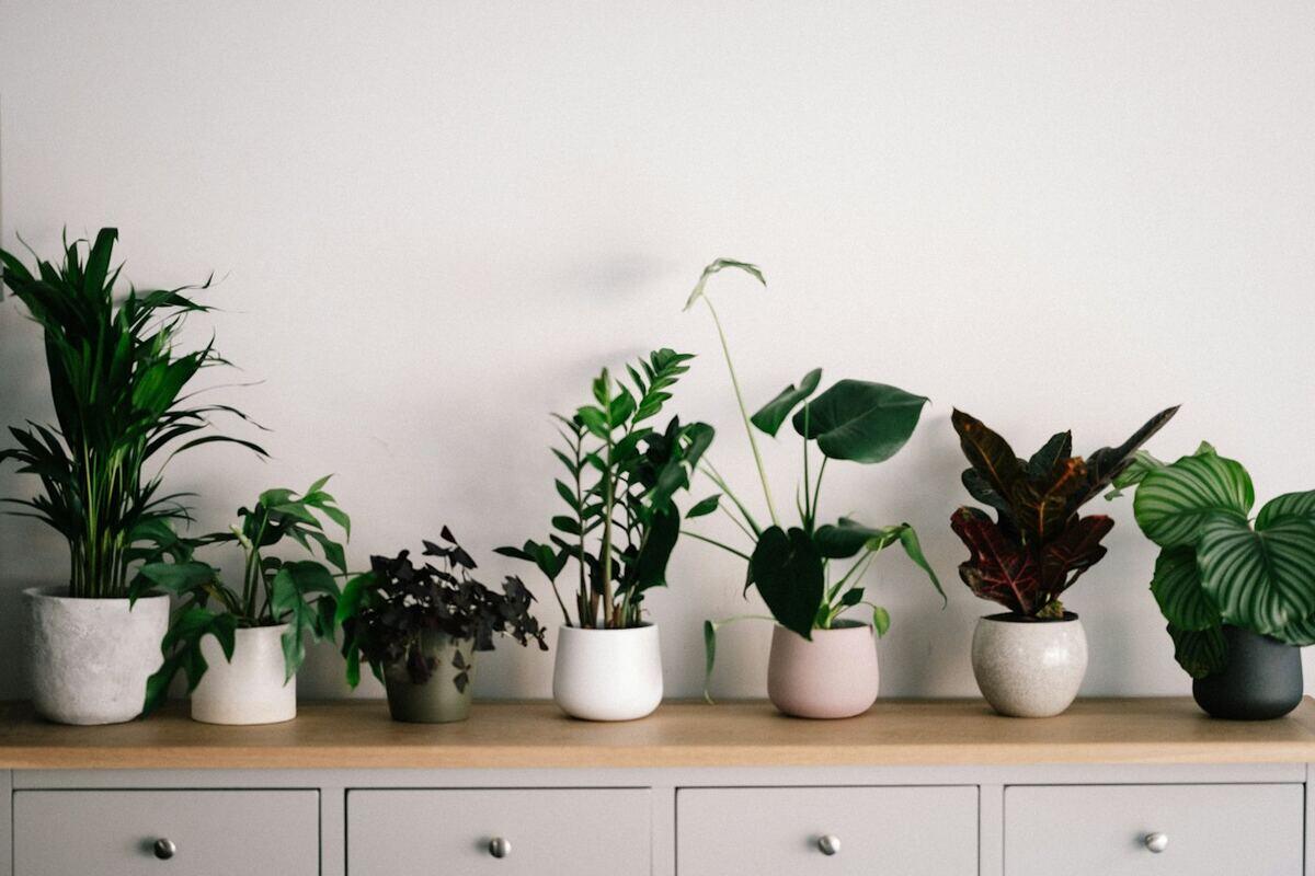 Pinch Planter